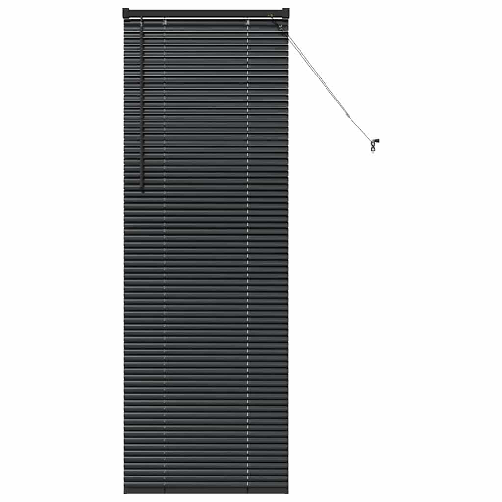 Window Blind with Curtains Manual Black Aluminium